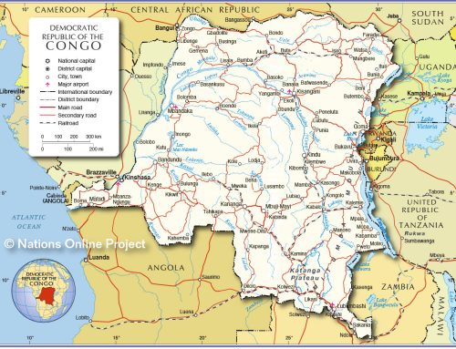 Western Flags Burn in Eastern DRC